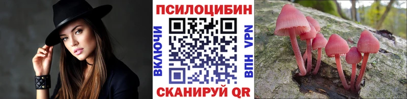 купить наркотик Фатеж Псилоцибиновые грибы прущие грибы
